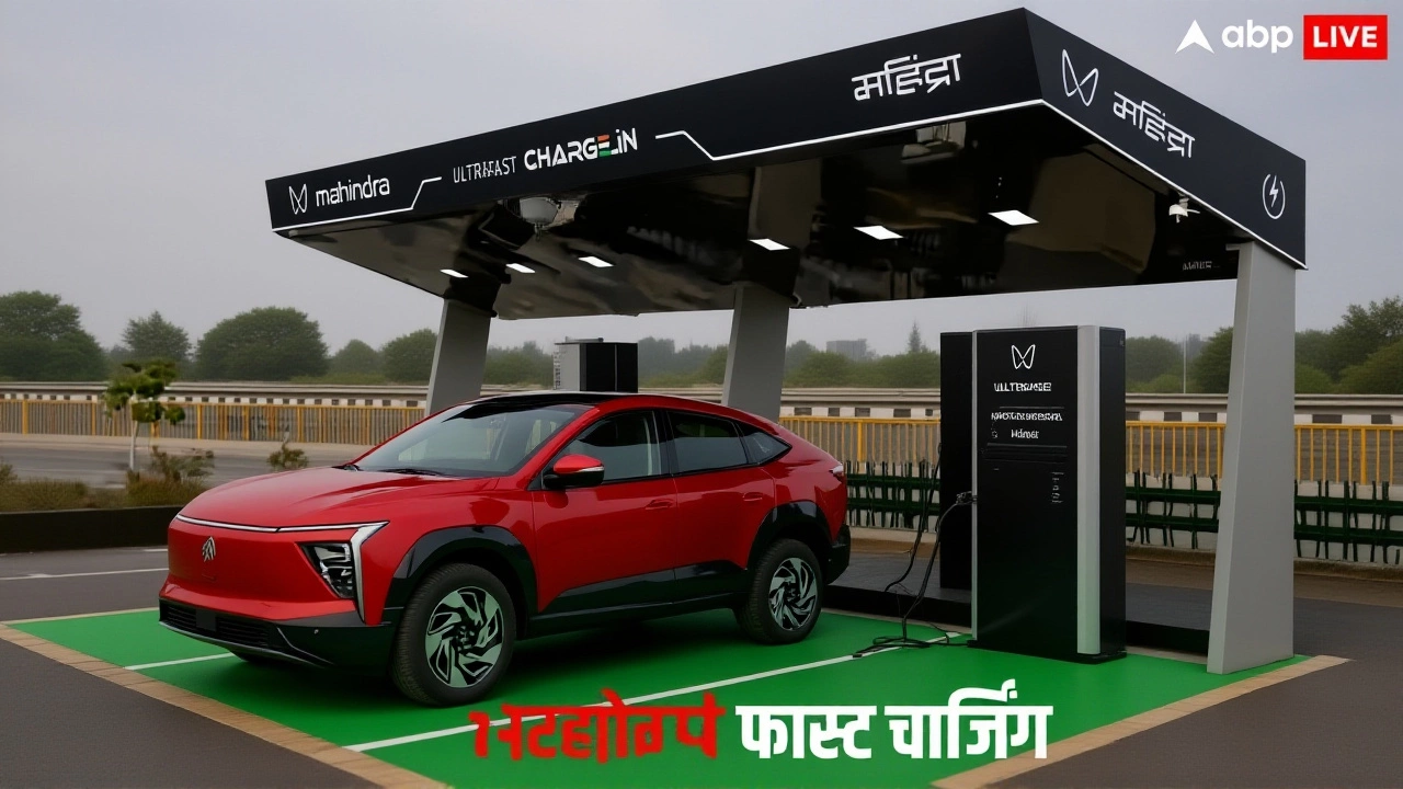 विकल्प और कीमतें: कौन क्या खरीदे?